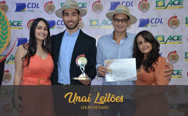 Unaí Leilões
